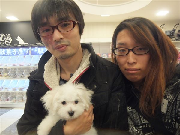 写真