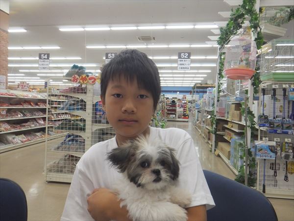 写真