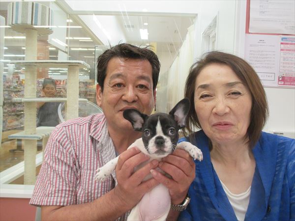 写真