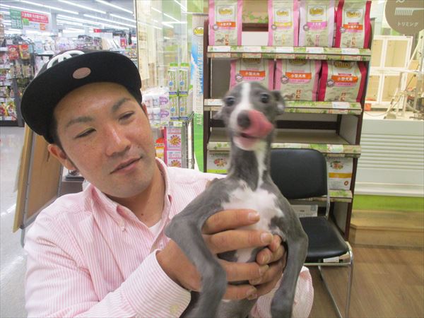 写真