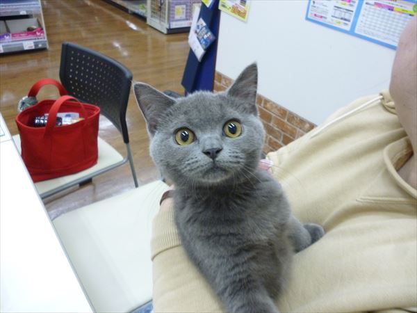 写真