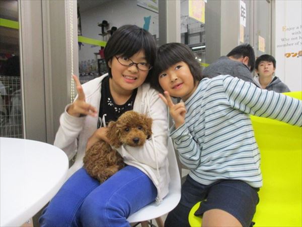 写真