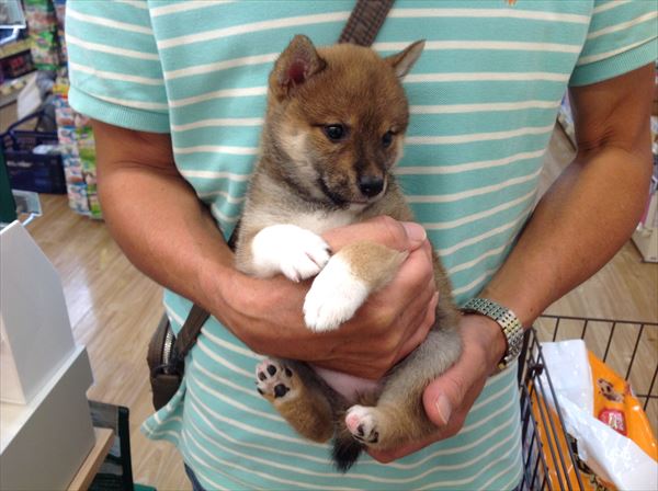 写真