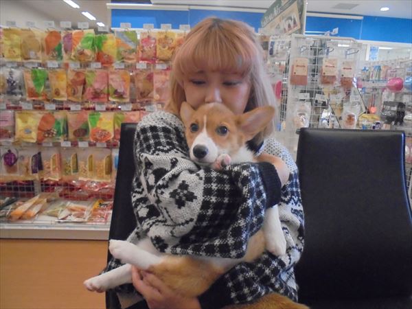 写真