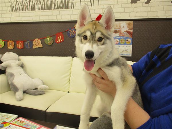 写真