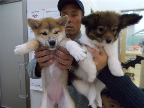 写真