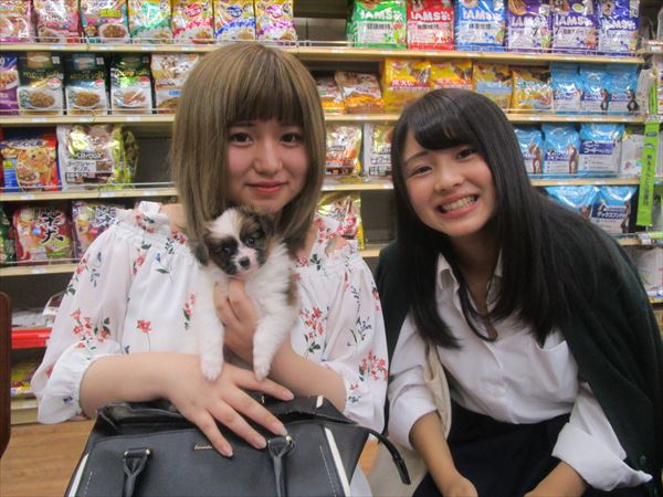 写真