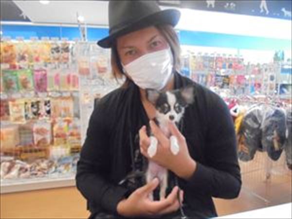 写真