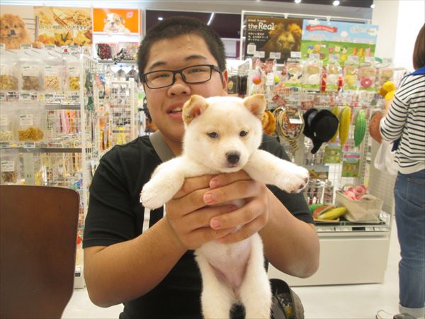 写真