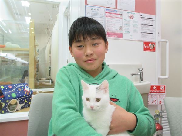 写真