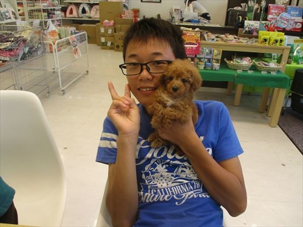 写真