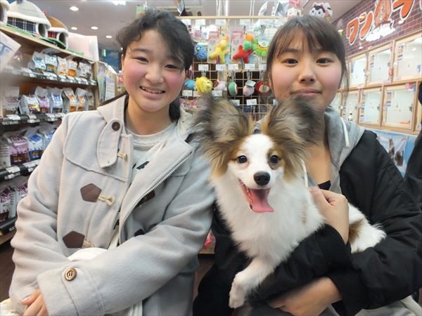 写真