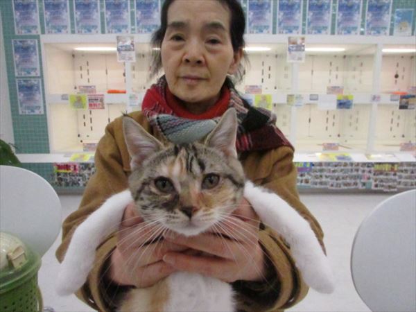 写真