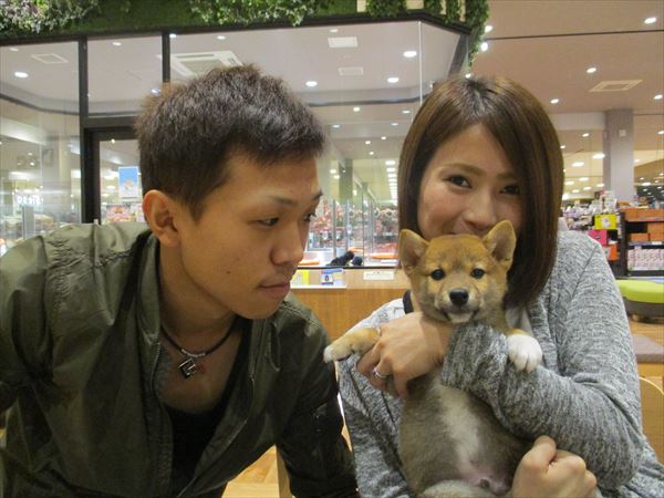 写真