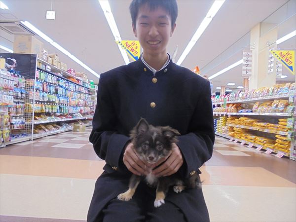 写真