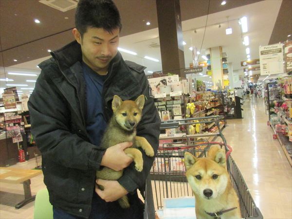 写真