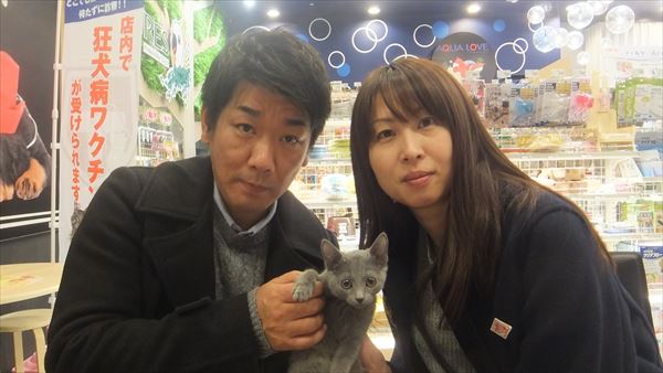 写真
