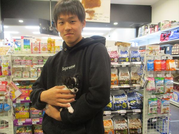 写真