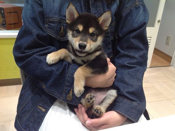 写真