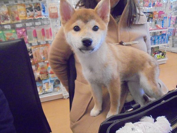 写真