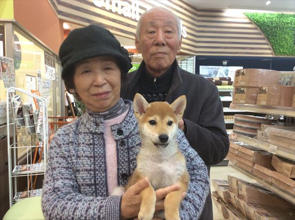 写真