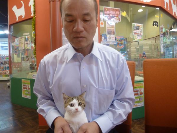 写真
