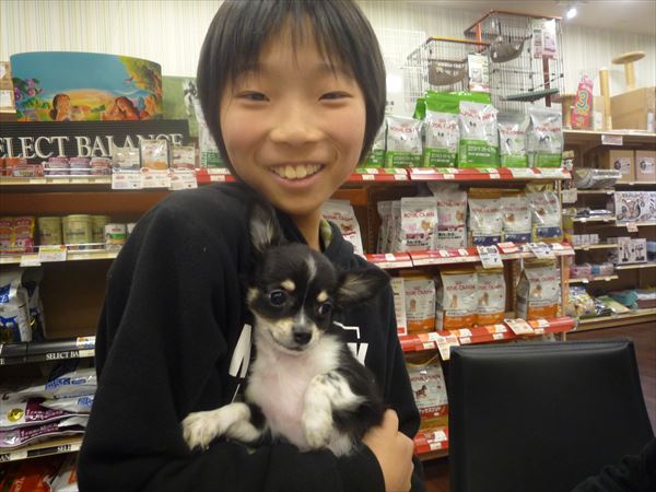 写真
