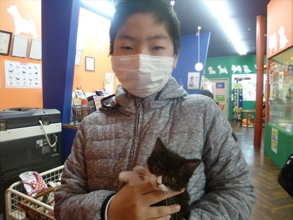 写真