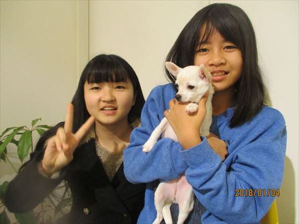 写真