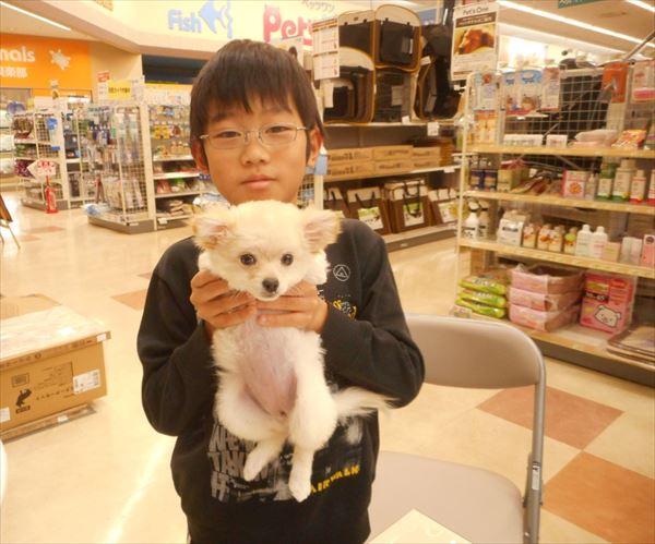 写真