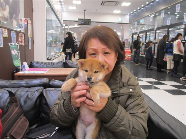 写真