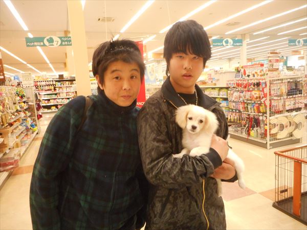 写真