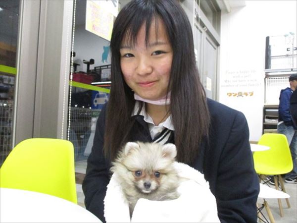 写真