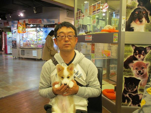 写真