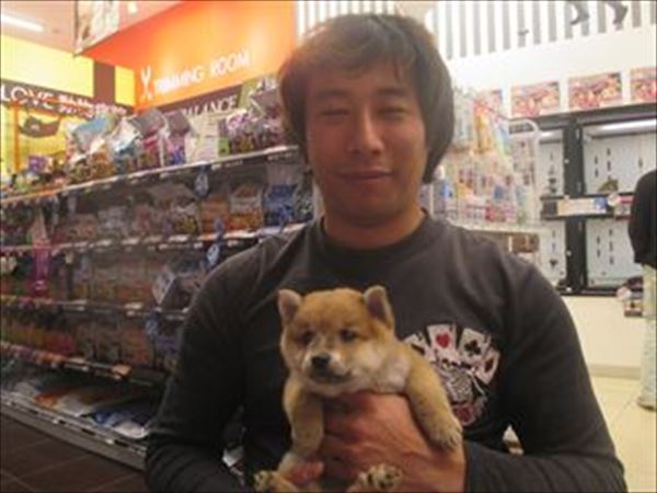 写真