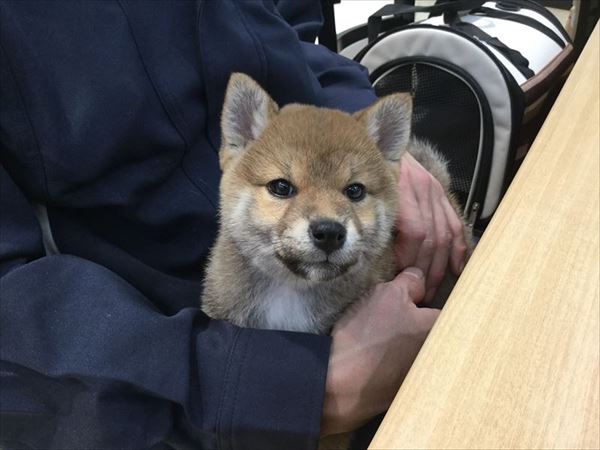 写真