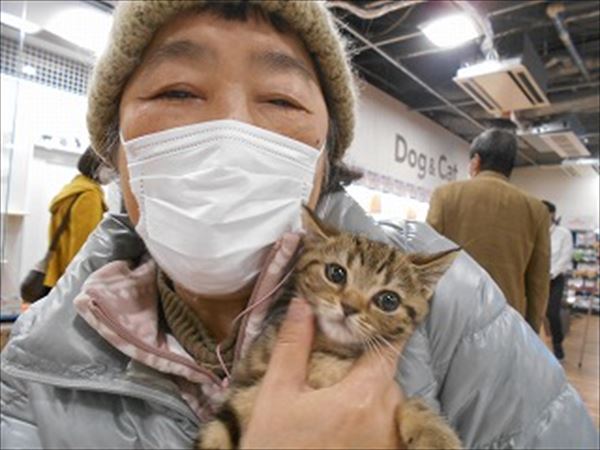 写真
