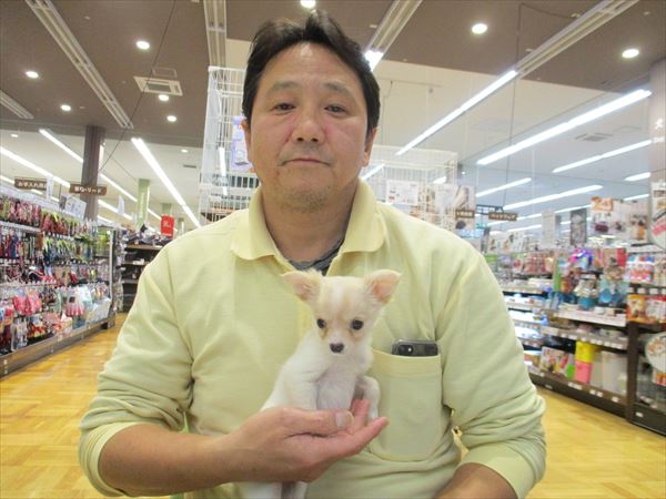 写真