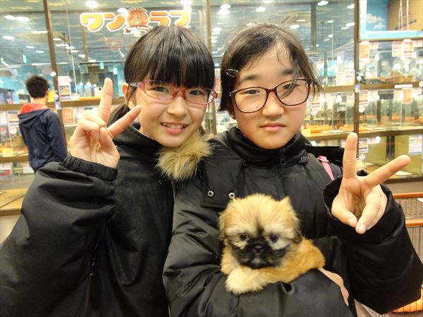 写真