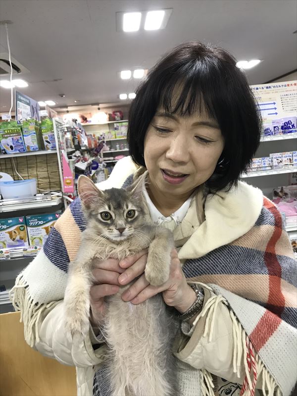 写真