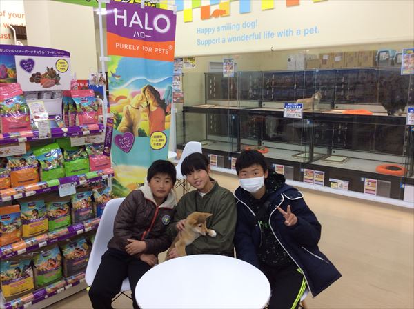 写真