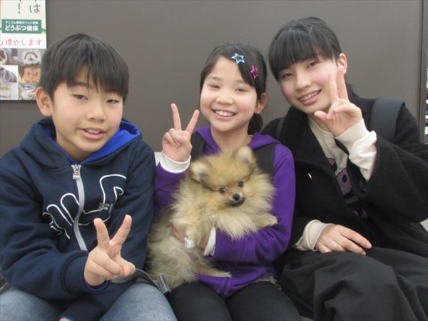 写真