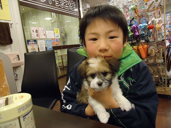 写真