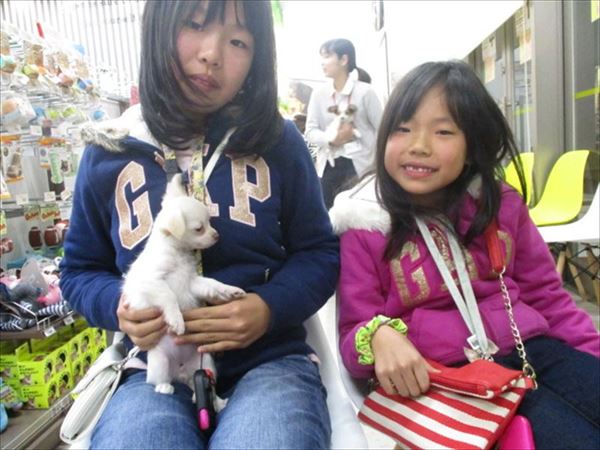 写真