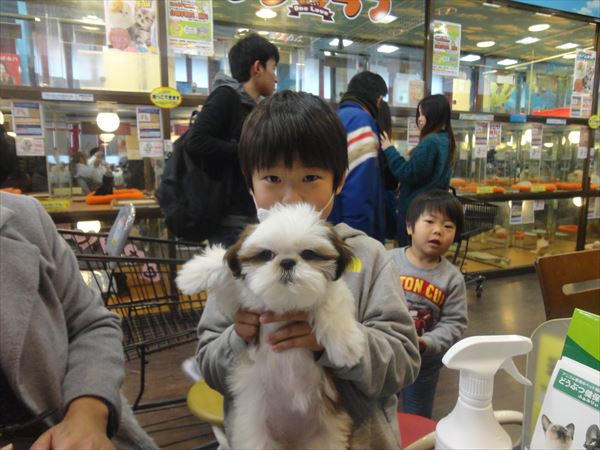 写真