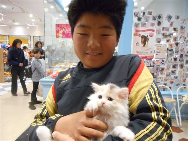 写真