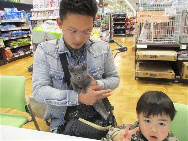 写真