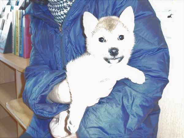写真