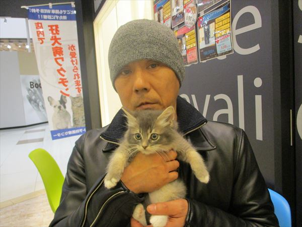 写真