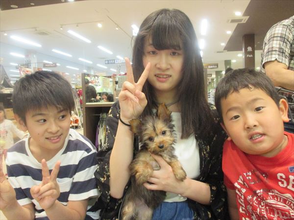 巣立った子犬子猫たち 詳細 愛知県名古屋市のペットショップ ワンラブ 巣立った子犬子猫たち 詳細 愛知県名古屋市のペットショップ ワンラブ